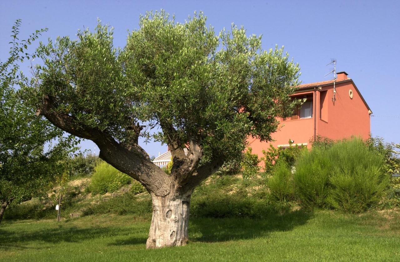 A3Passi Villa Ancona Exterior photo